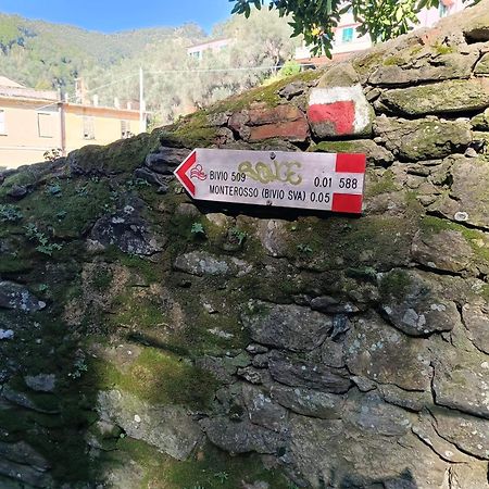 Chez Diego studio with garden Monterosso al Mare Exterior foto