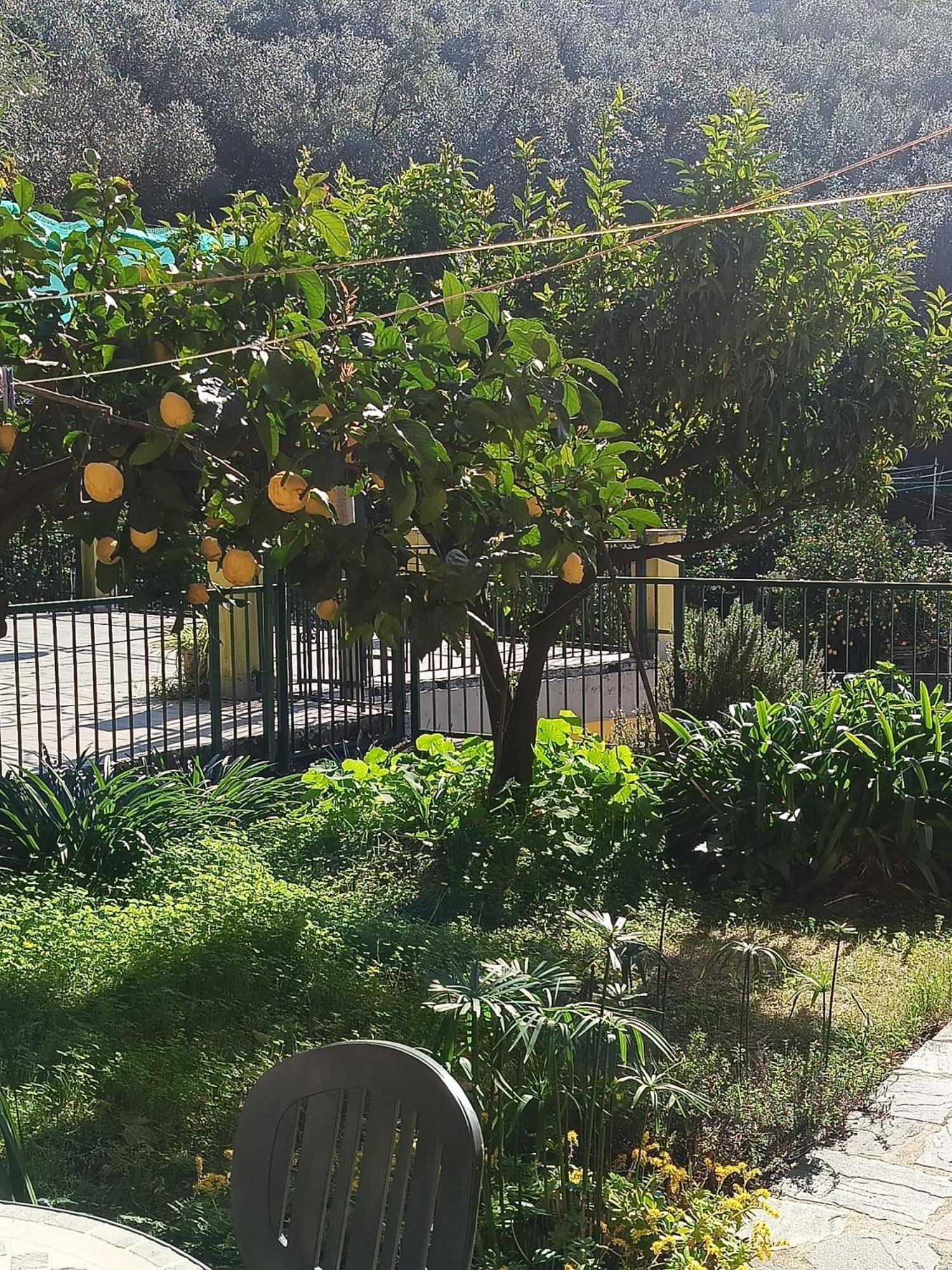 Chez Diego studio with garden Monterosso al Mare Exterior foto
